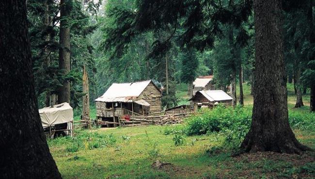 SİNEKLİ YAYLASINDAN TOPUK YAYLASINA DOĞA YÜRÜYÜŞÜ (7 YAYLA & 1 GÖLET)